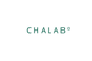 CHALAB INOVASI INDONESIA - Home